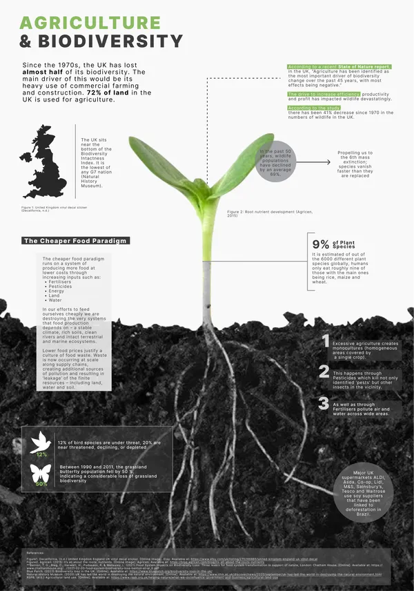 Agriculture and Biodiversity infographic