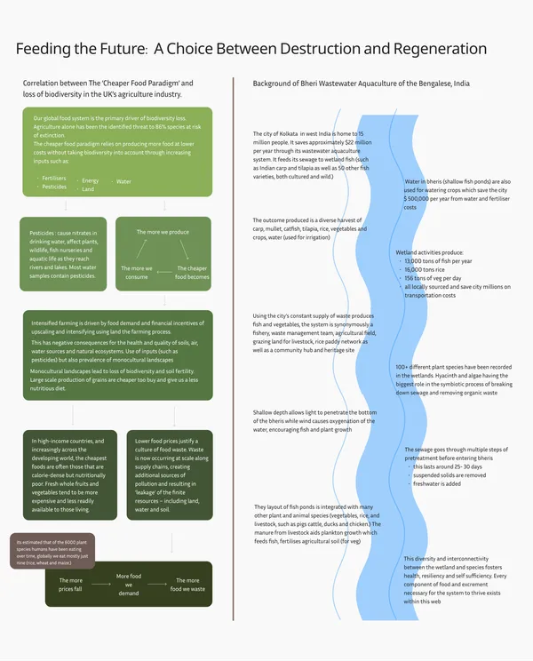 Feeding the Future - A Choice Between Destruction and Regeneration